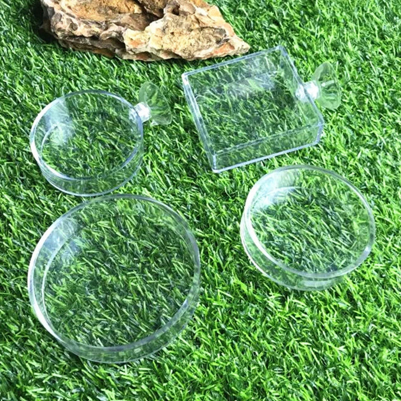 Fish Tank Feeder Aquarium Shrimp Glass Feeding Bowl Clear Dish Tray Container Feeders Aquarium Round  Square Fish Shrimp Feeding