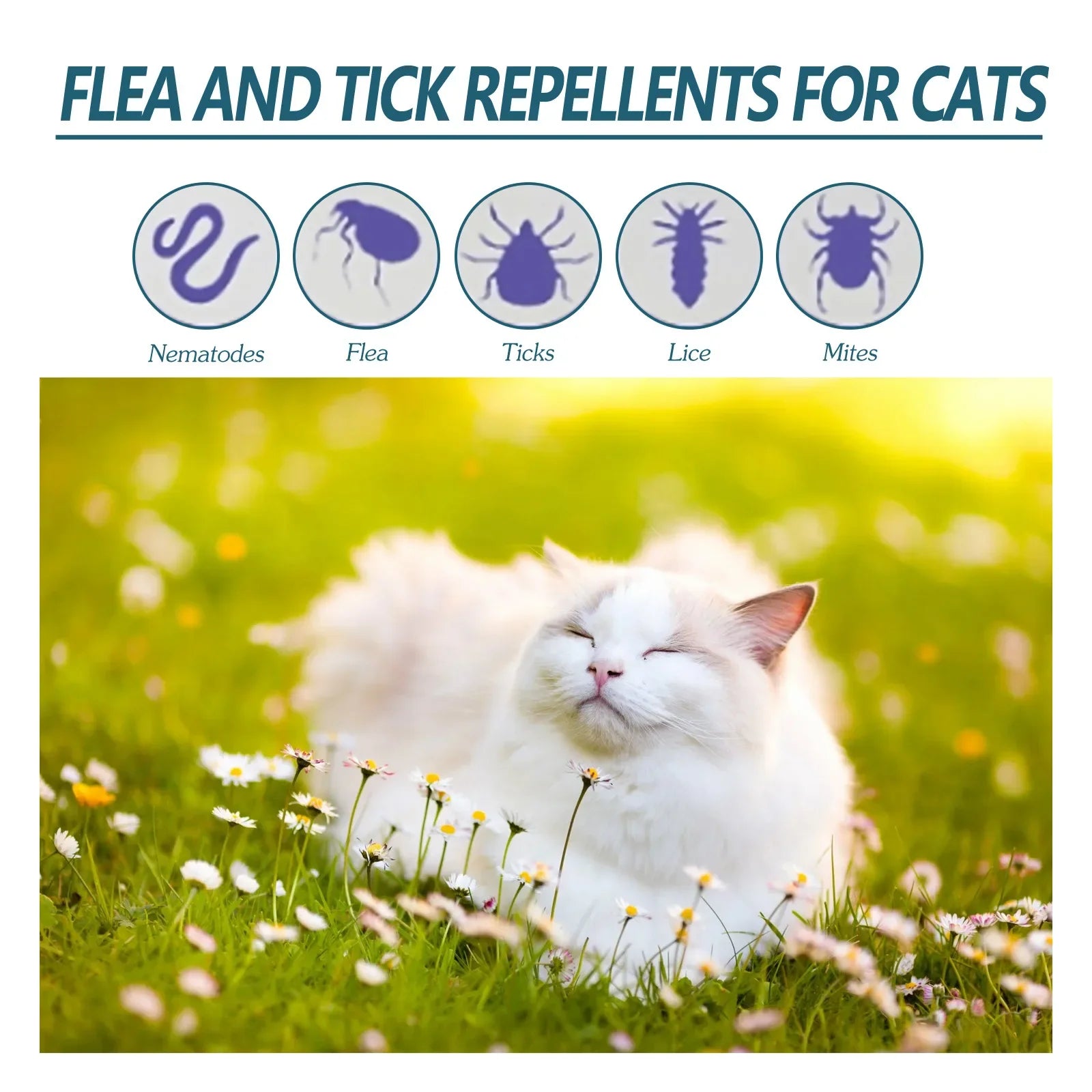 Pet Flea Killer Drops Anti Fleas Cats Ticks Lice Mite Removal Relieve Itching Dogs Ringworm Treatment Pet Skin Care Spray
