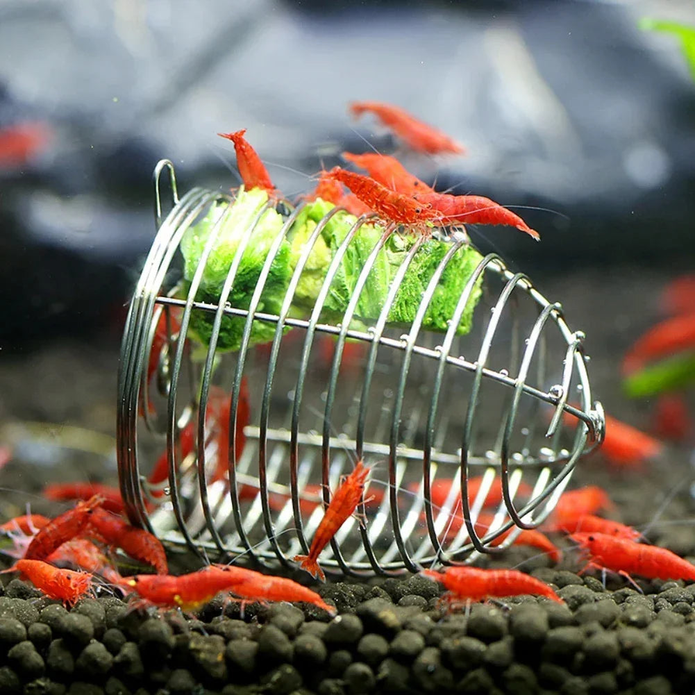 Shrimp Feeding Dish Stainless Steel Shrimp Bowls Feed Dish Metal Container Bait Cage Fish Tank Accessories for Shrimp Foods