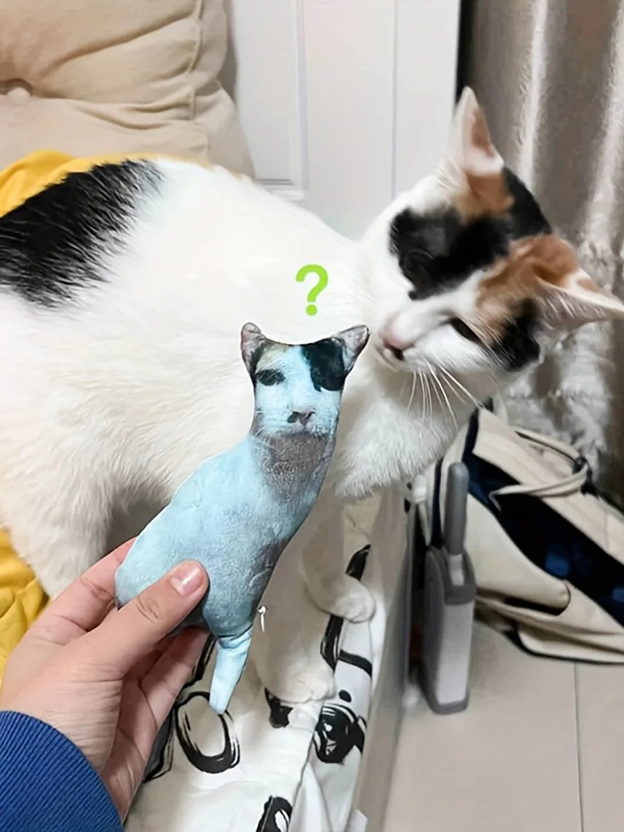 Customized Pet Pillow with Personalized Plush Cat and Dog Design, Polyester Fiber