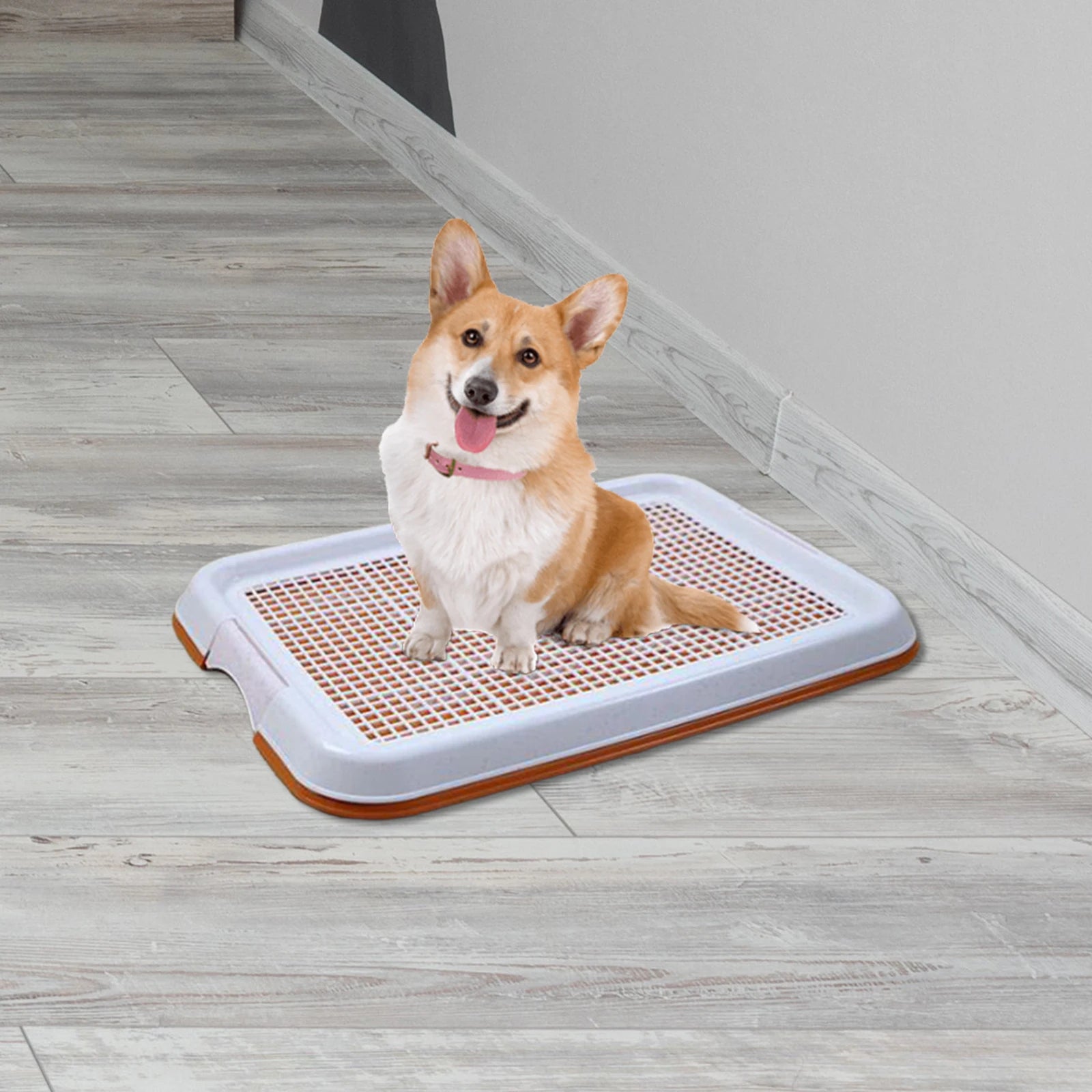 Dog Toilet Anti Slip Removable Mesh Potty Training Tray Puppy Pee Pad Holder for Small Dog Cat Pet Cleaning Supplies 47x35x3.5cm