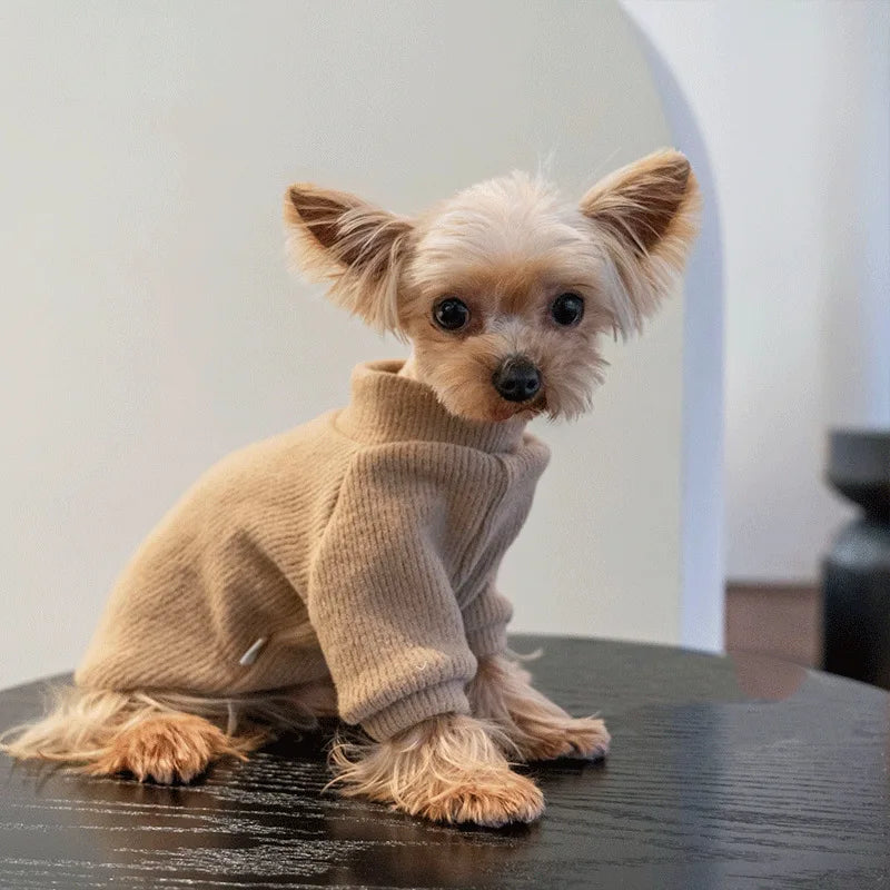 Autumn and winter dog casual simple solid color pullover sweater for small and medium-sized dogs warm cat two-legged pet dog clo