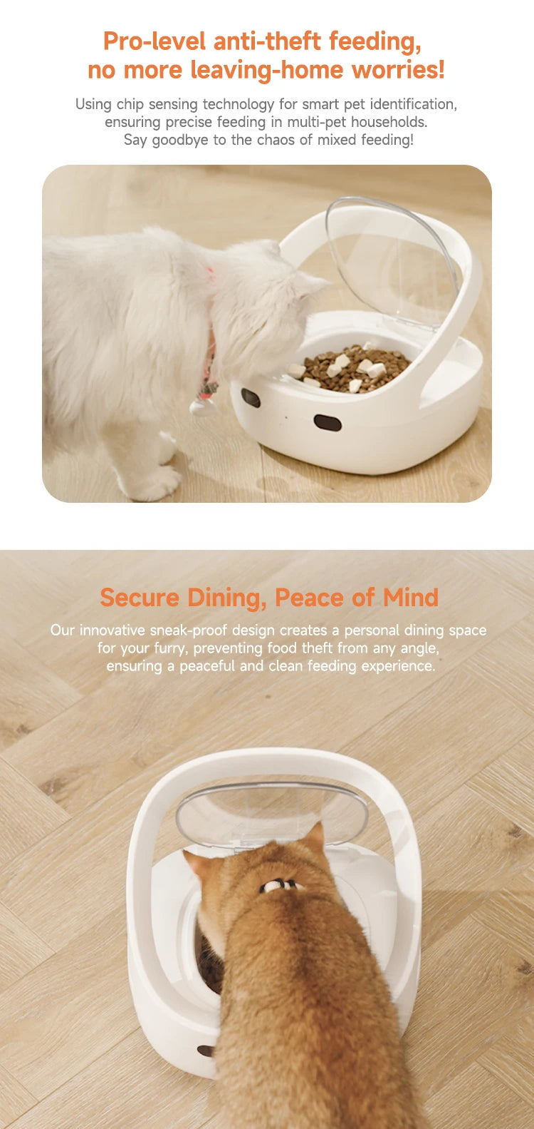 New Petoneer NutriCare Feeder Tailored For Multi-Pet Households Pet feeder Cat And Dog Feeder With App Global Version