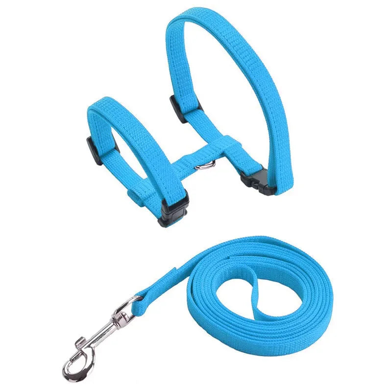 Escape-proof Small Dog Cat Harness Collar with Leash Set H Shape Choke Free Puppy Kitten Harness Soft Nylon Strap Collar for Pet