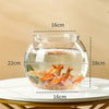 Sturdy Nicely Betta Fish Bowl Small Aquariums for Small Ornamental Fish And Reptiles High Transparency Glass Good View