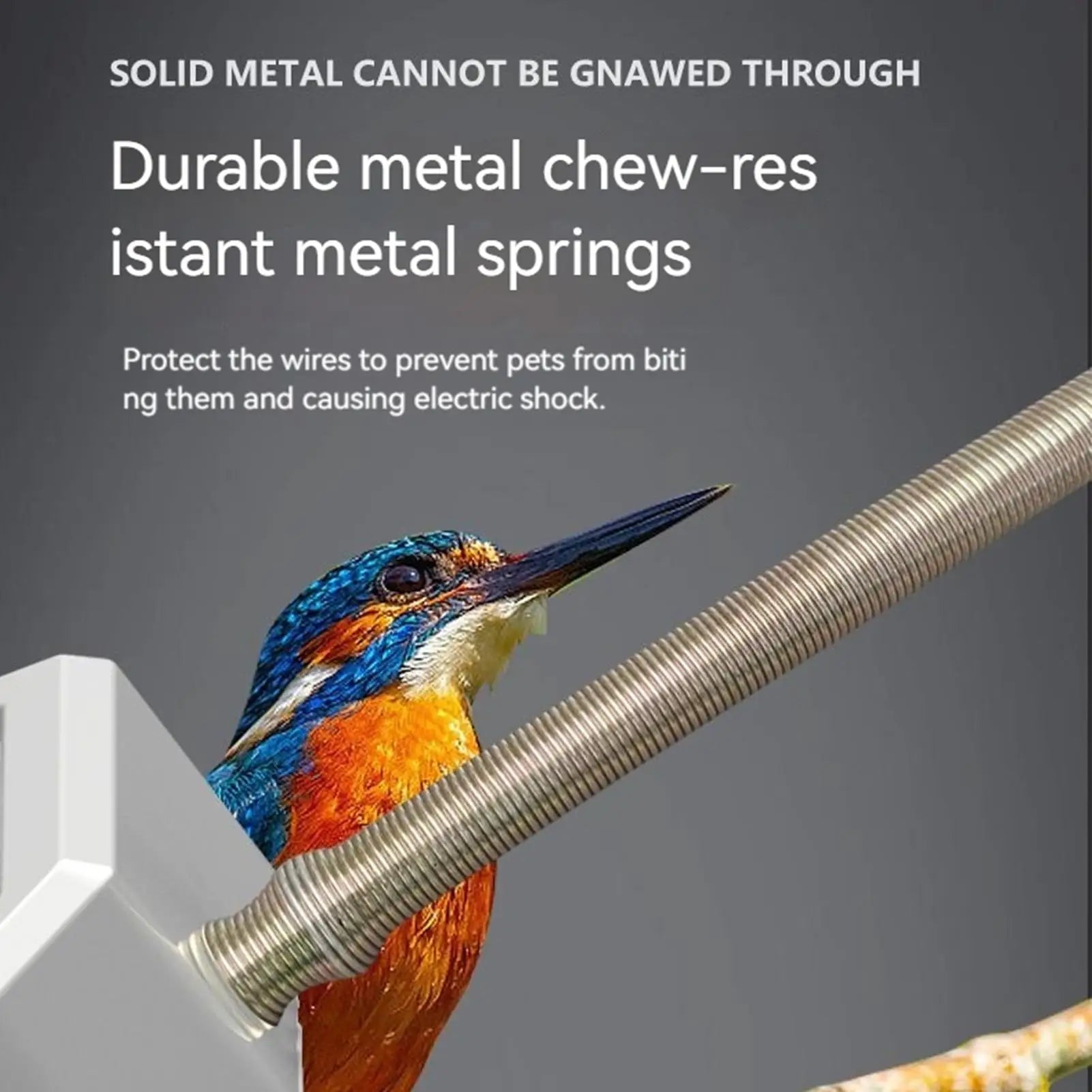 Bird Cage Heater Warming Thermostatic Coop Heater Cage Accessories For Winter Freezing Parakeet Parrot Lizard Nesting Outdoors