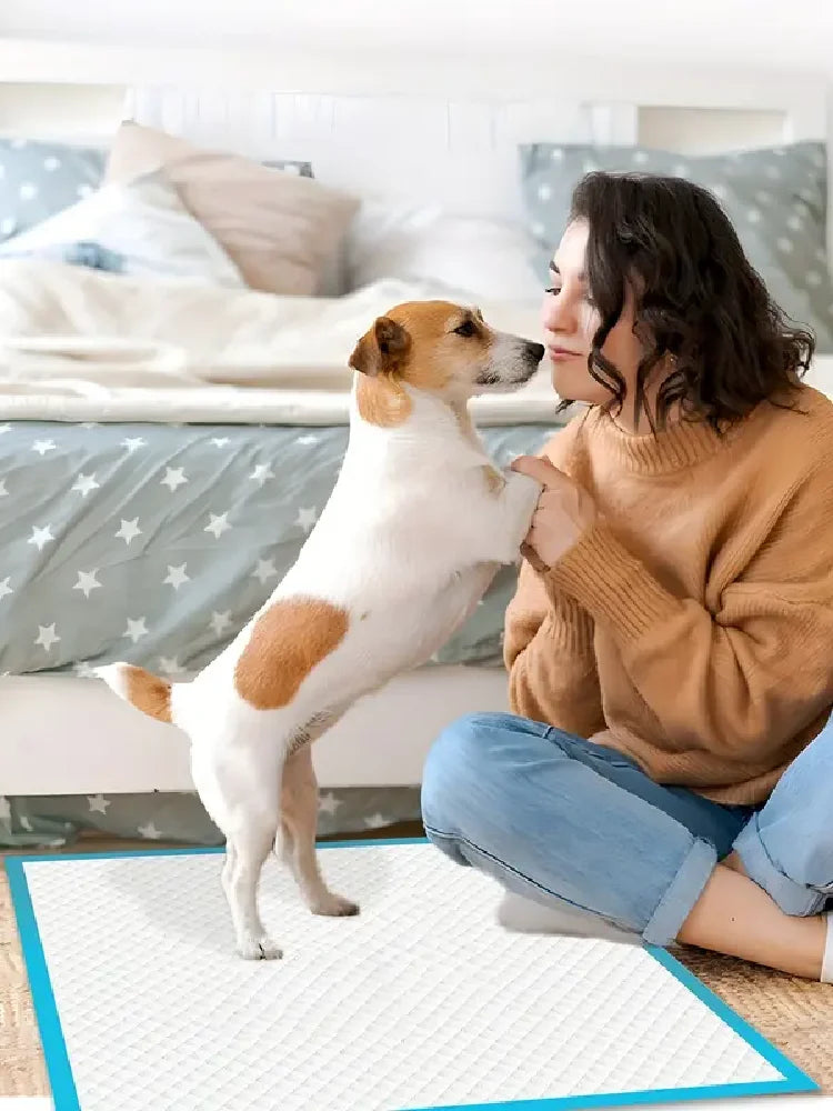 XXL Dog Pee Pads | Various Sizes Of Premium Disposable Dog Training Pads | Super Absorbency | Blue Extra Strength Leak-Proof