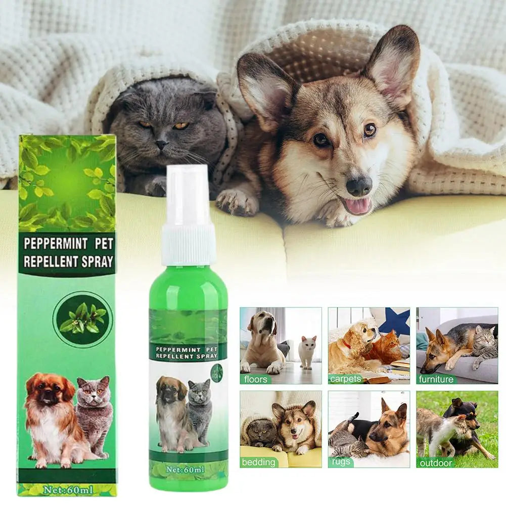 Pet Flea Killer Drops 60ml Anti Fleas Cats Ticks Lice Mite Removal Relieve Itching Antiseptic Pet Pest Spray Skin Care