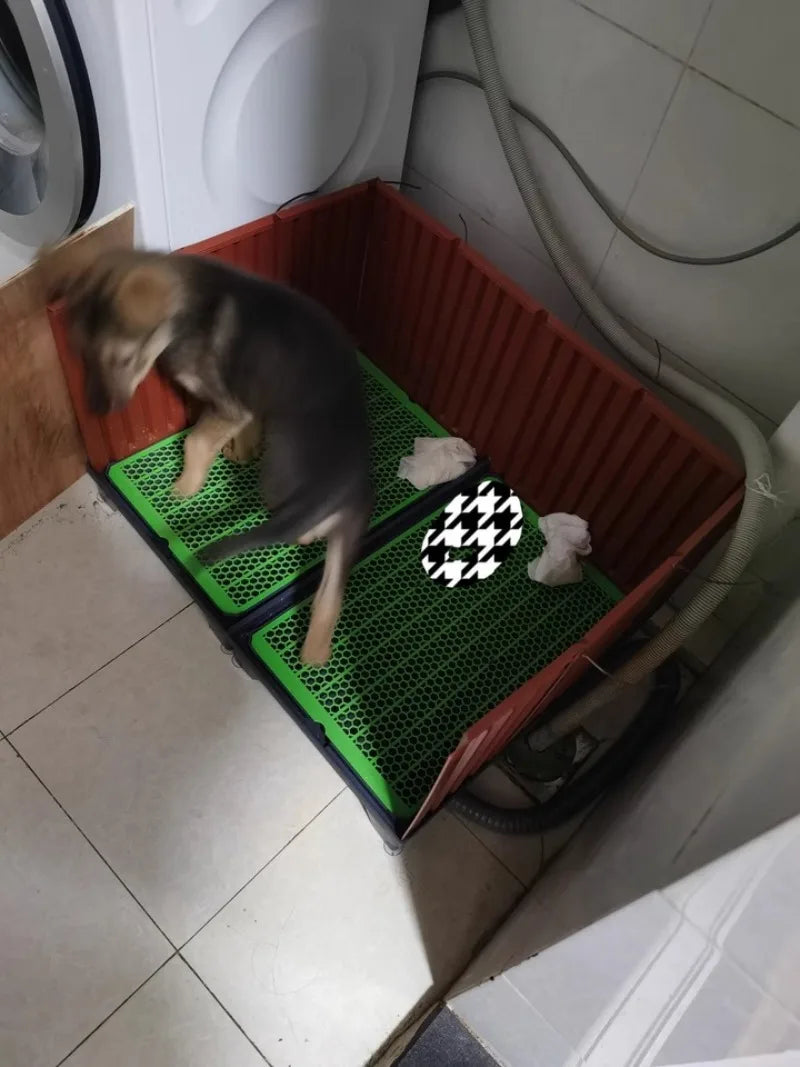 Flush Dog Toilet Direct Drainage System Dog Toilet Training Walls Pet Potty Indoor with Drain Pets Urinal Large Medium Supplies