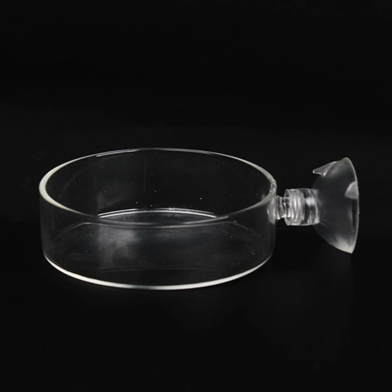Fish Tank Feeder Aquarium Shrimp Glass Feeding Bowl Clear Dish Tray Container Feeders Aquarium Round  Square Fish Shrimp Feeding