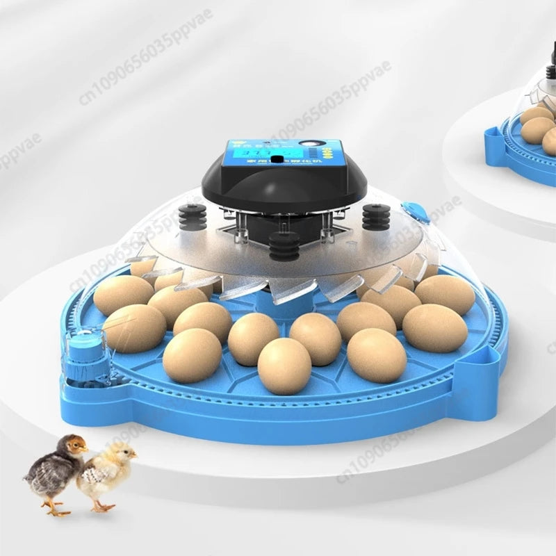 A8 Shape Automatic Egg Incubator For Cockatiel Parrot Quail Birds With Digital Temperature Control And Humidity Adjustment Smart