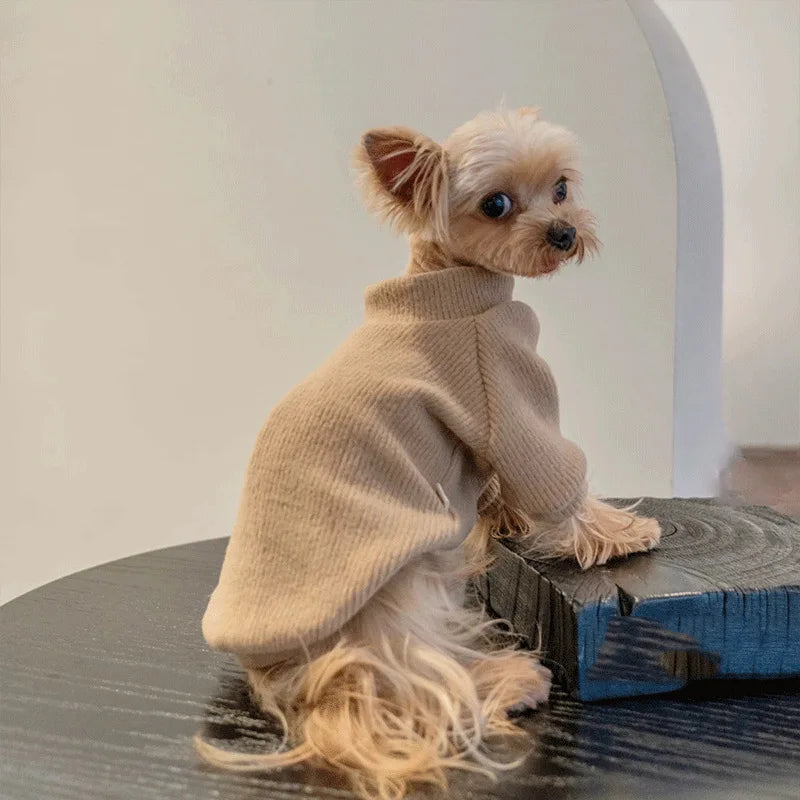 Autumn and winter dog casual simple solid color pullover sweater for small and medium-sized dogs warm cat two-legged pet dog clo