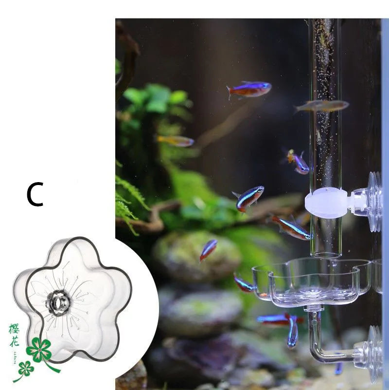 Aquarium Feeding Tray Clear Fish Shrimp Food Feeder Tube Dish Shrimp Bowl Feeding Ring Fish Tank Decoration Accessories