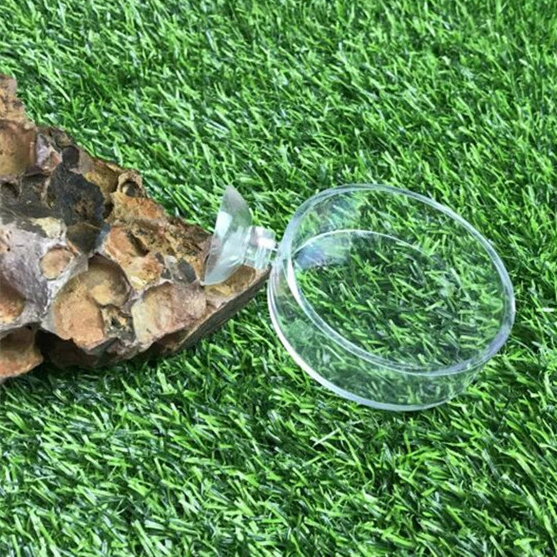 Fish Tank Feeder Aquarium Shrimp Glass Feeding Bowl Clear Dish Tray Container Feeders Aquarium Round  Square Fish Shrimp Feeding