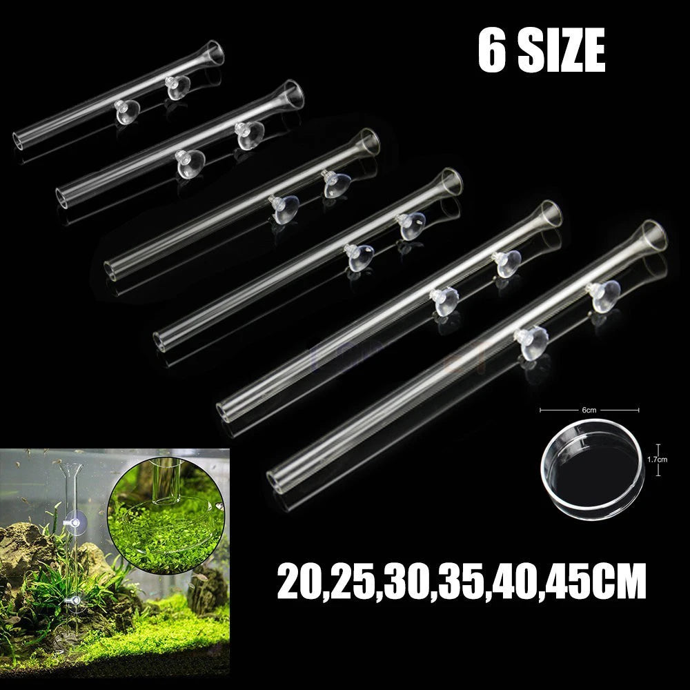 Aquarium Feeding Tray Clear Fish Shrimp Food Feeder Tube Dish Shrimp Bowl Feeding Ring Fish Tank Decoration Accessories