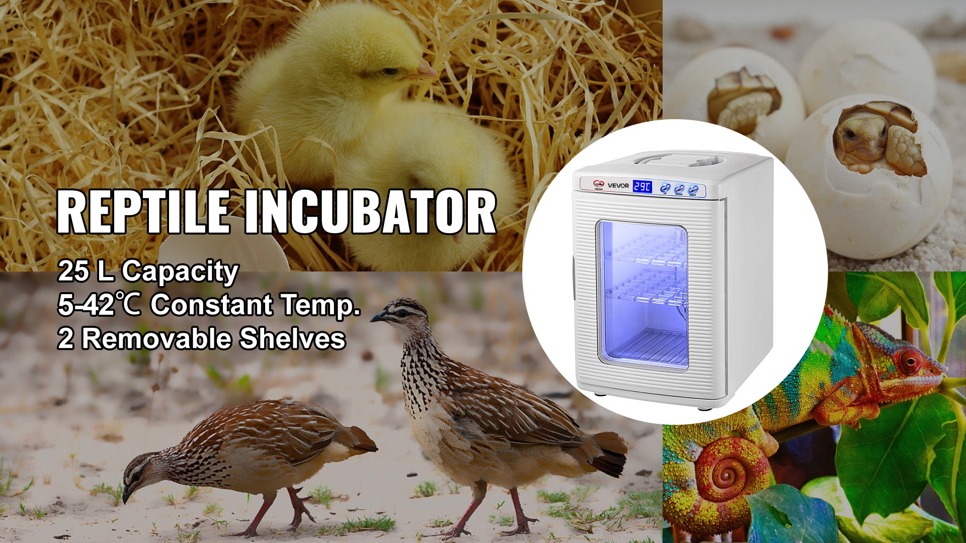 SucceBuy 25L Reptile Incubator Scientific Lab Automatic Incubator Egg Breeding Hatchery Work for Thermostats Snakes and Turtles