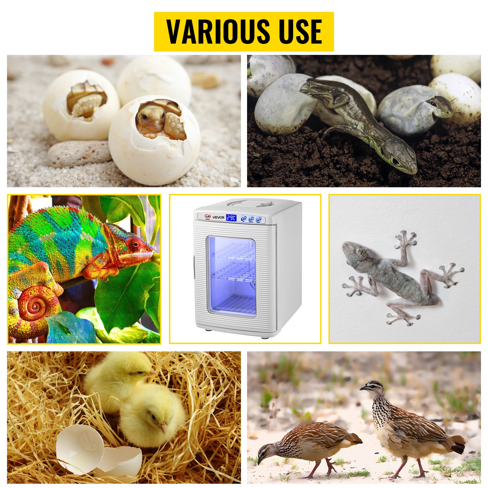 SucceBuy 25L Reptile Incubator Scientific Lab Automatic Incubator Egg Breeding Hatchery Work for Thermostats Snakes and Turtles